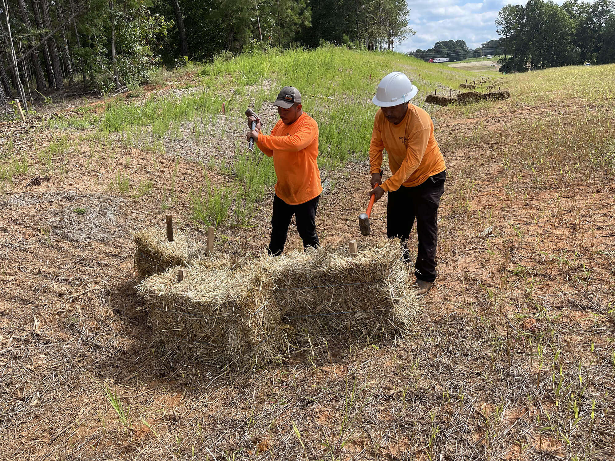 Hay being used to control erosion