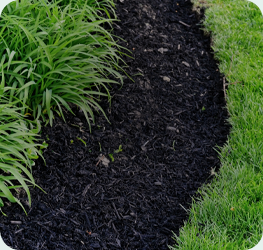 Beyond Site Solutions Mulch